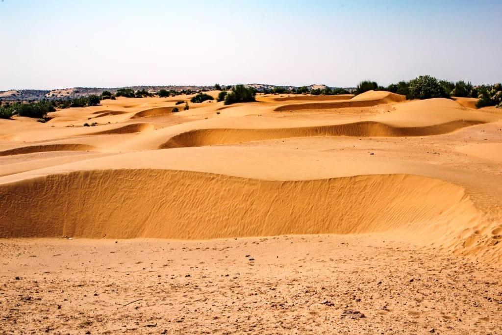 Neem Guest House Jaisalmer Ngoại thất bức ảnh