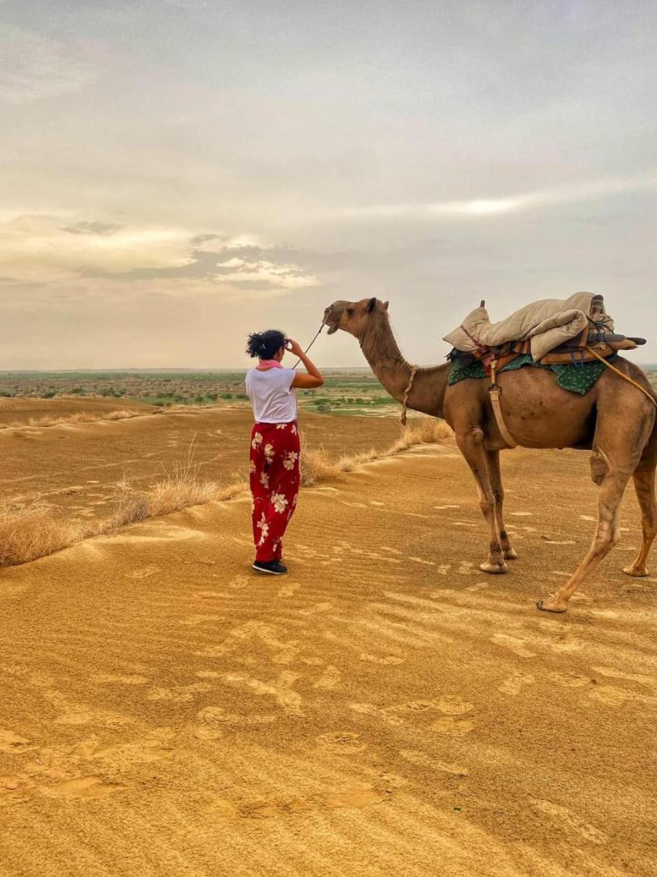 Neem Guest House Jaisalmer Ngoại thất bức ảnh