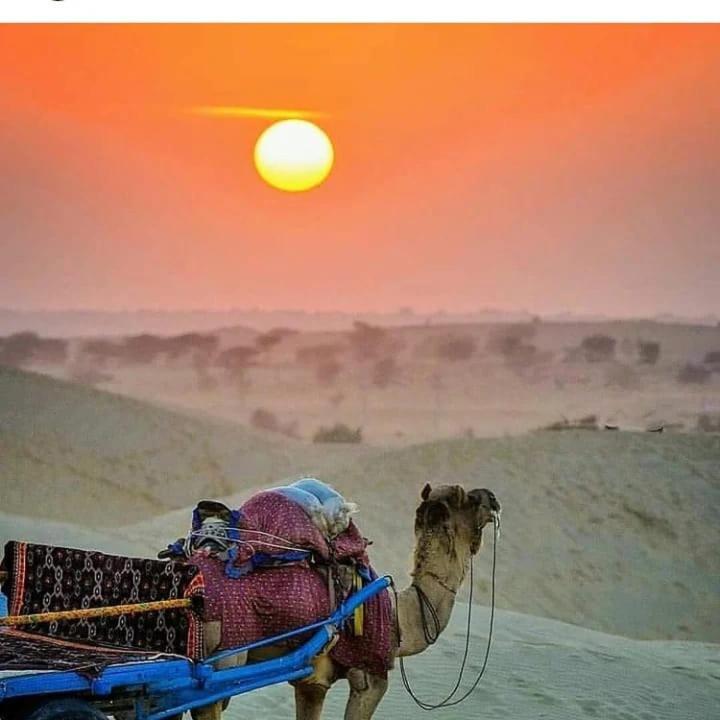 Neem Guest House Jaisalmer Ngoại thất bức ảnh